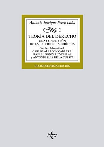 Teoría del derecho una concepción de la experiencia jurídica
