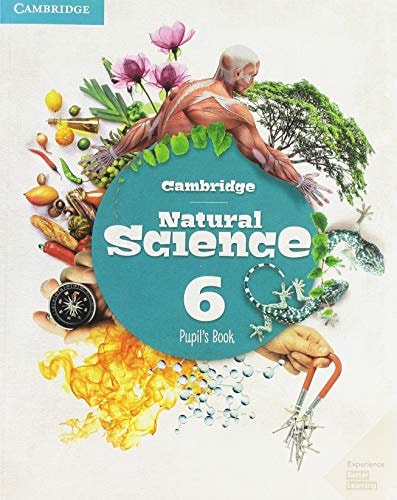 Cambridge Natural Science 6ºep St 19 - Cambridge